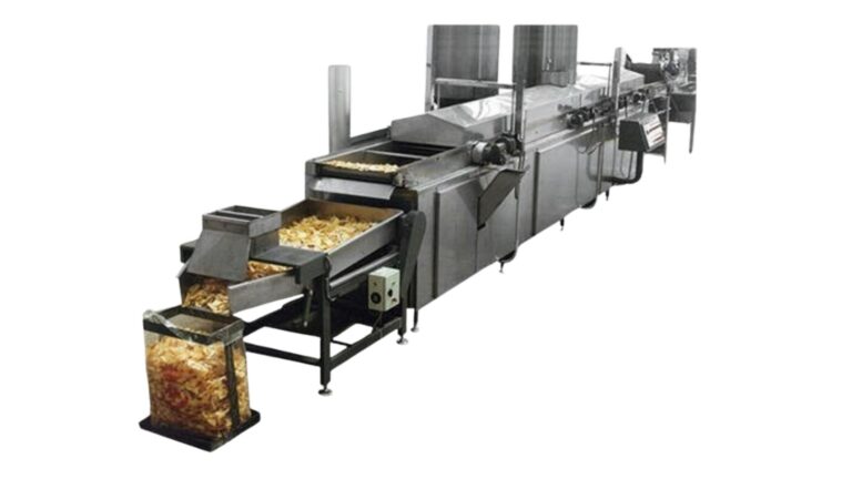 Continuous Fryer